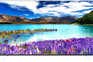 Super General SGQLED65PWUSFTS2 - 65 Inch 4K QLED Smart TV