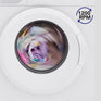 Super General SGW7260INV - 7kg Front-Load Washing Machine
