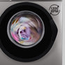 Super General SGW7260INVS - 7kg Front-Load Washing Machine